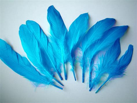 synthetic feathers